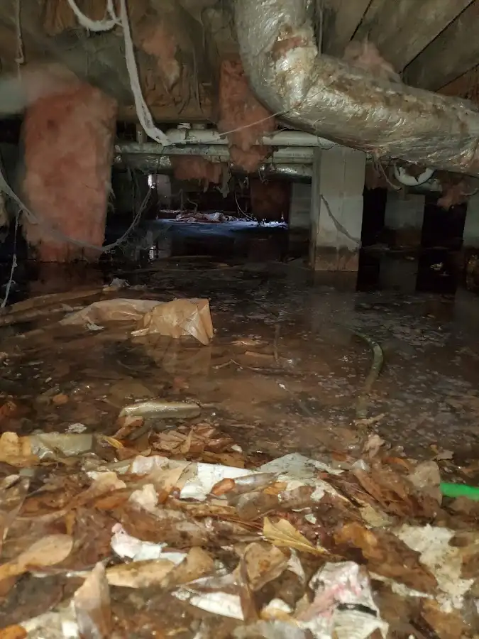 Crawl space flood assessment for Leak Detection & Repair in White Oak