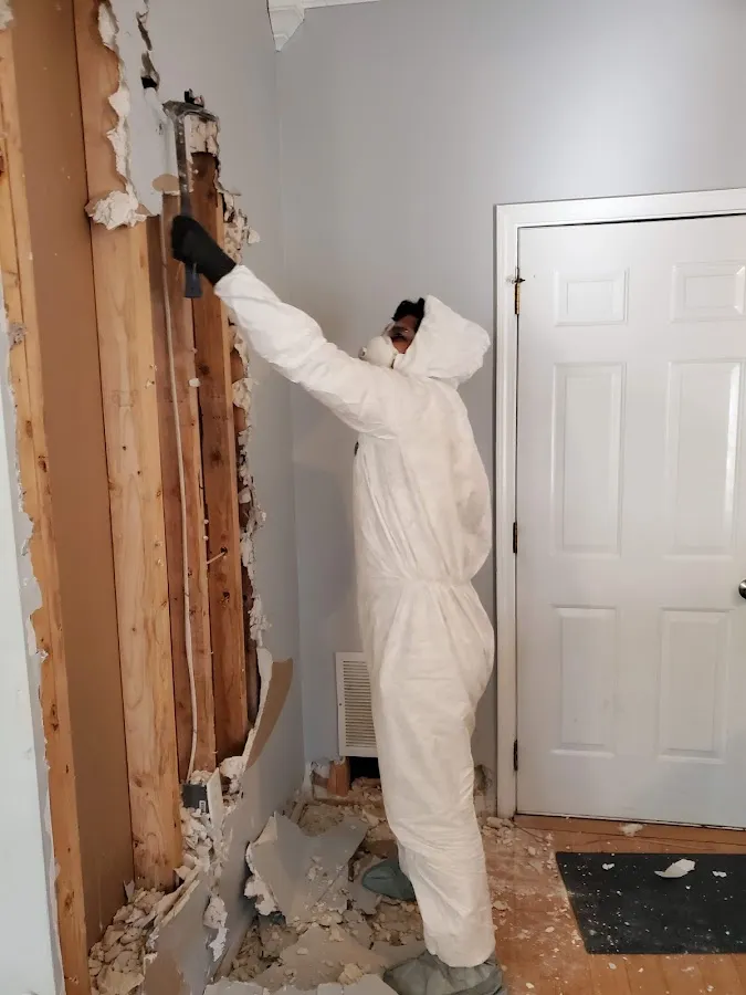 Emergency Water Damage Services in White Oak, PA