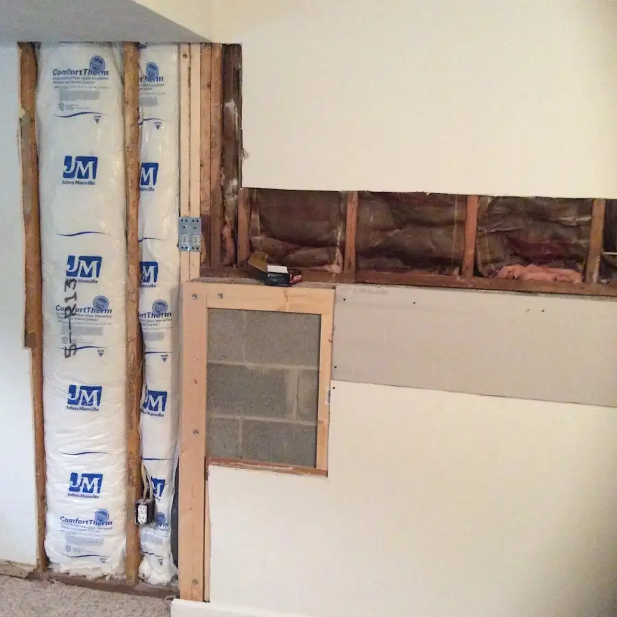 Wall insulation replacement during Odor Removal & Deodorization in White Oak